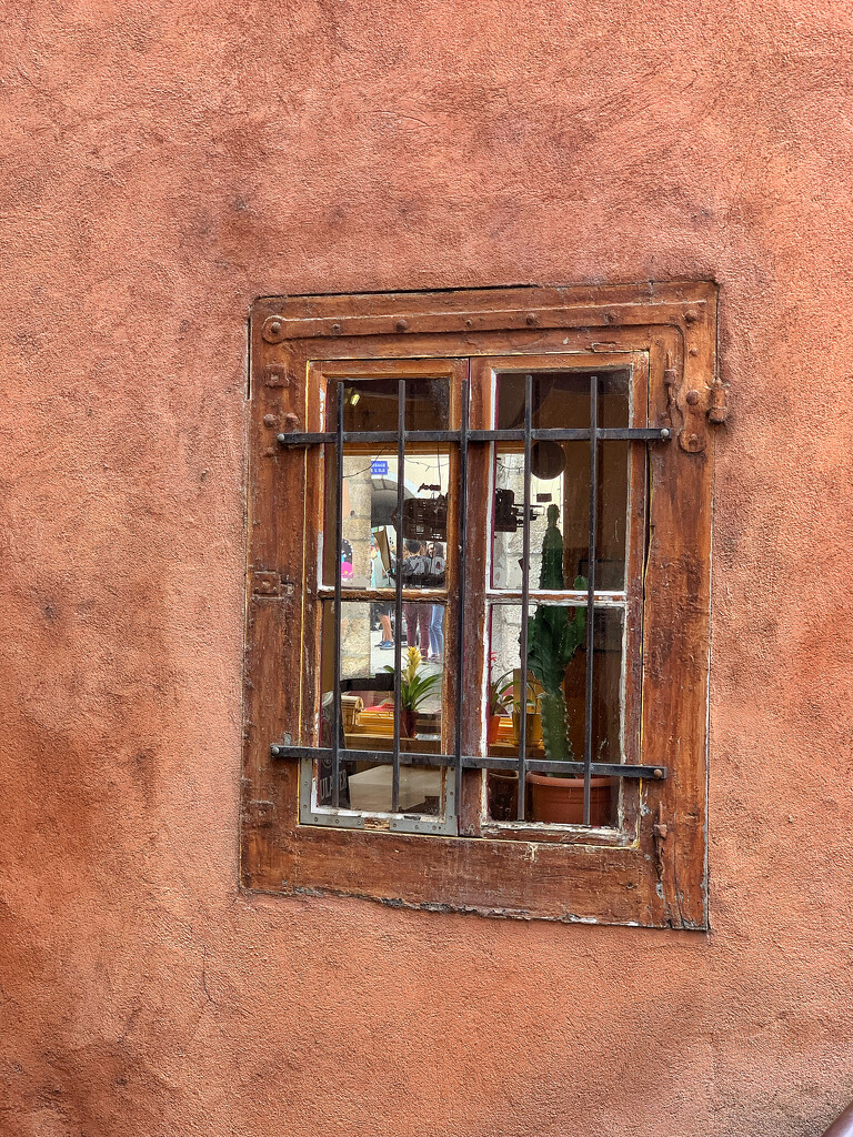 The window.  by cocobella