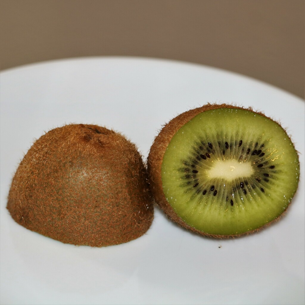 May 14: Kiwi by daisymiller