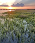 6th Jun 2022 - Marsh sunset