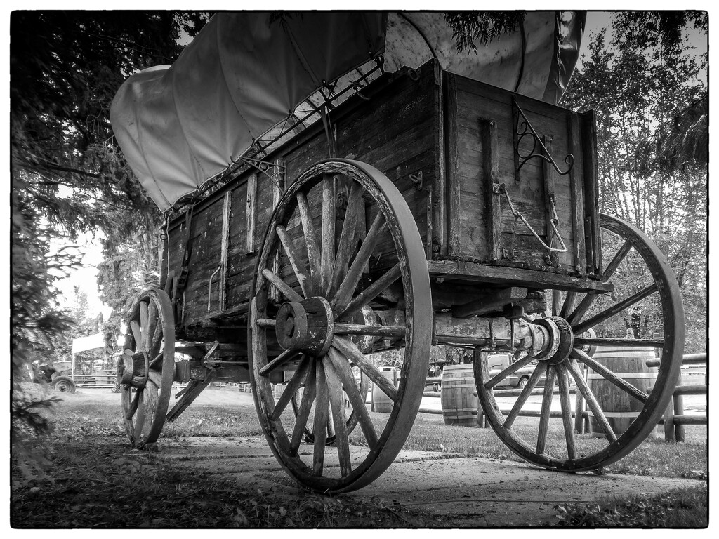 Covered Wagon by cdcook48