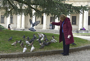6th Jun 2022 - THE OLD LADY AND THE PIGEONS