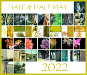 31st May 2022 - May Collage
