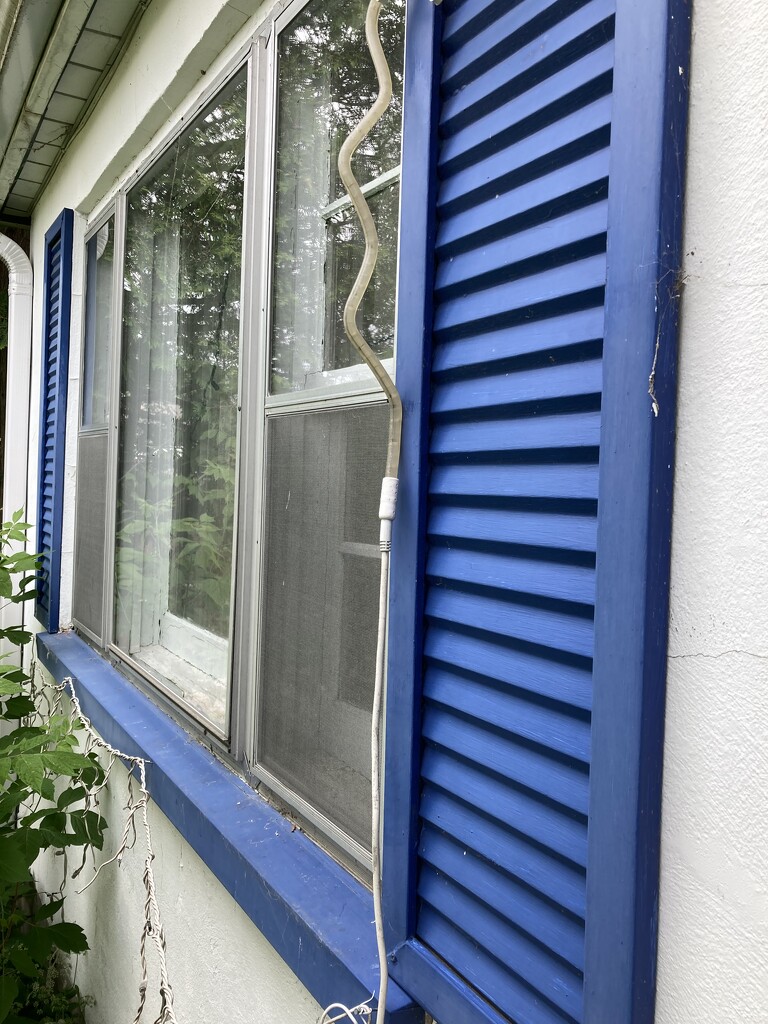 Window #3:  With Blue Shutters  by spanishliz