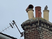 6th Jun 2022 - The Case of the crooked Chimney