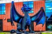 7th Jun 2022 - Welsh dragon 
