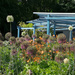 Culross Community Garden by sanderling
