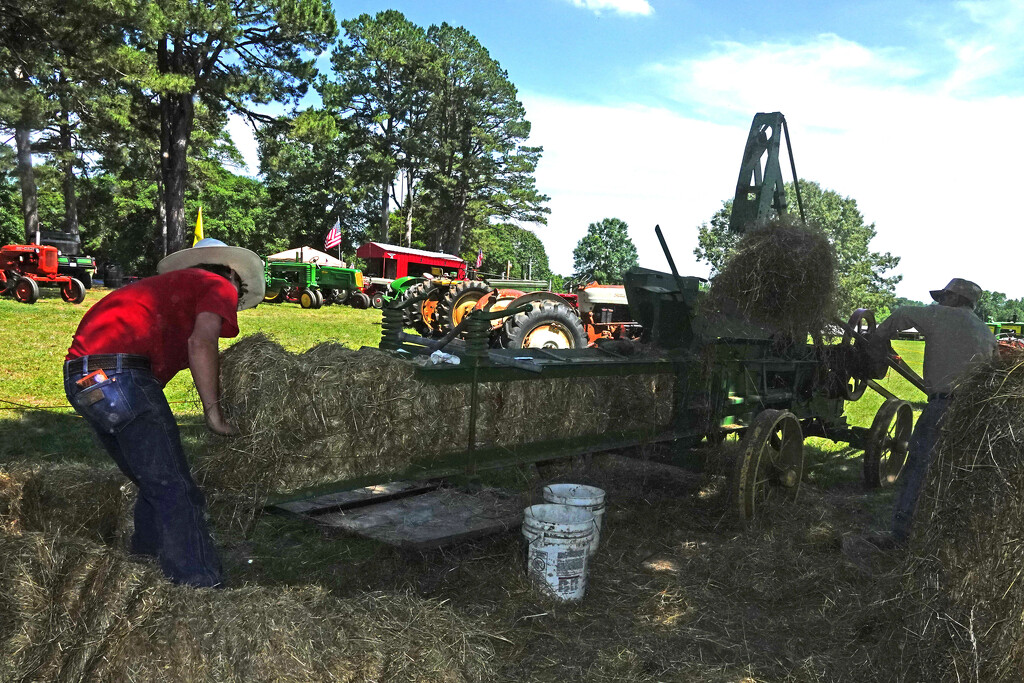 Turning Hay into Bales by milaniet