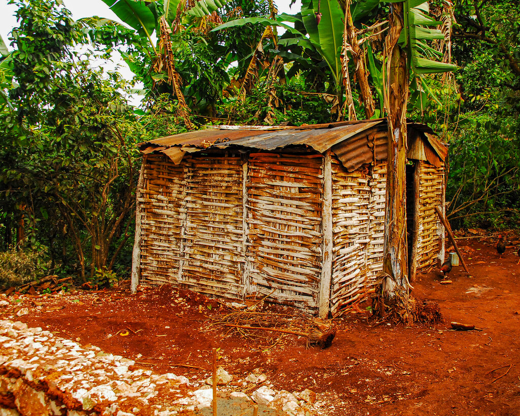 Rural Haitian Home by cwbill