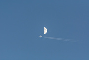 7th Jun 2022 - fly me to the moon...
