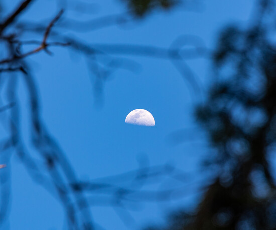 half moon rising-3138 by Kathy Burzynski · 365 Project