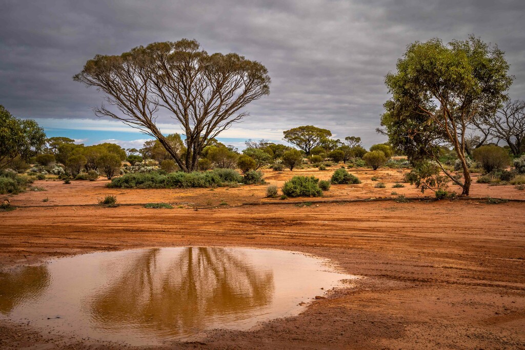 Desert landscape by pusspup