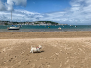 8th Jun 2022 - Instow between the showers