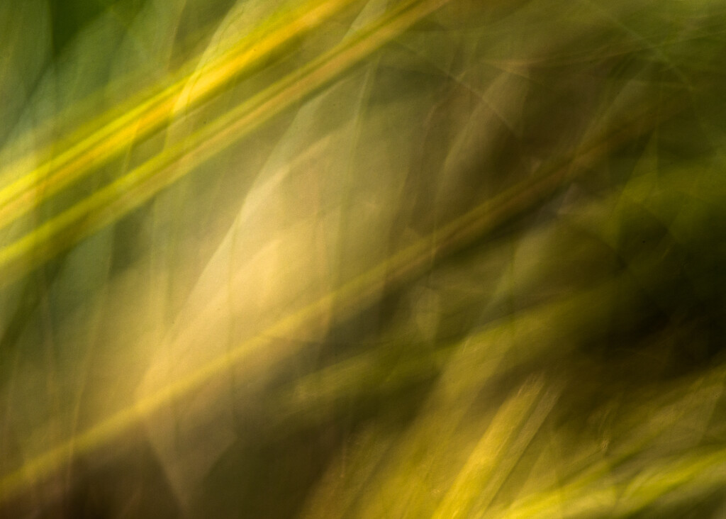 06-08 - Abstract Green by talmon