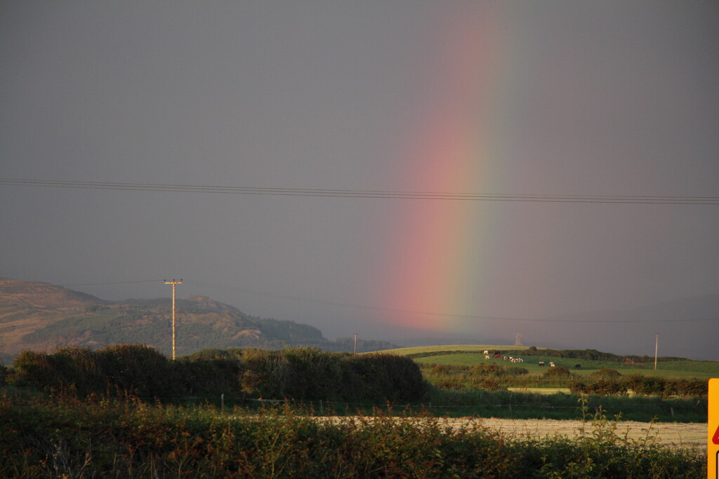 Pot of gold? by callymazoo