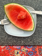 10th Jun 2022 - Watermelon. 