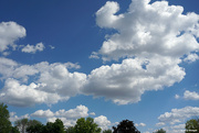 8th Jun 2022 - Partly cloudy or partly sunny