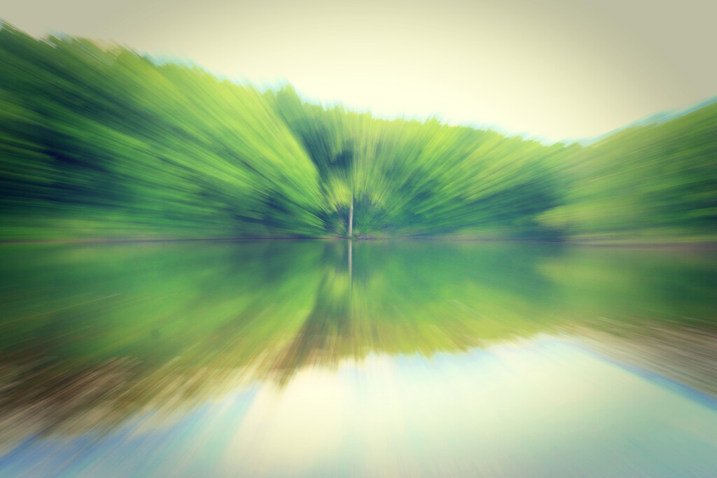 Snag Across the Lake by juliedduncan