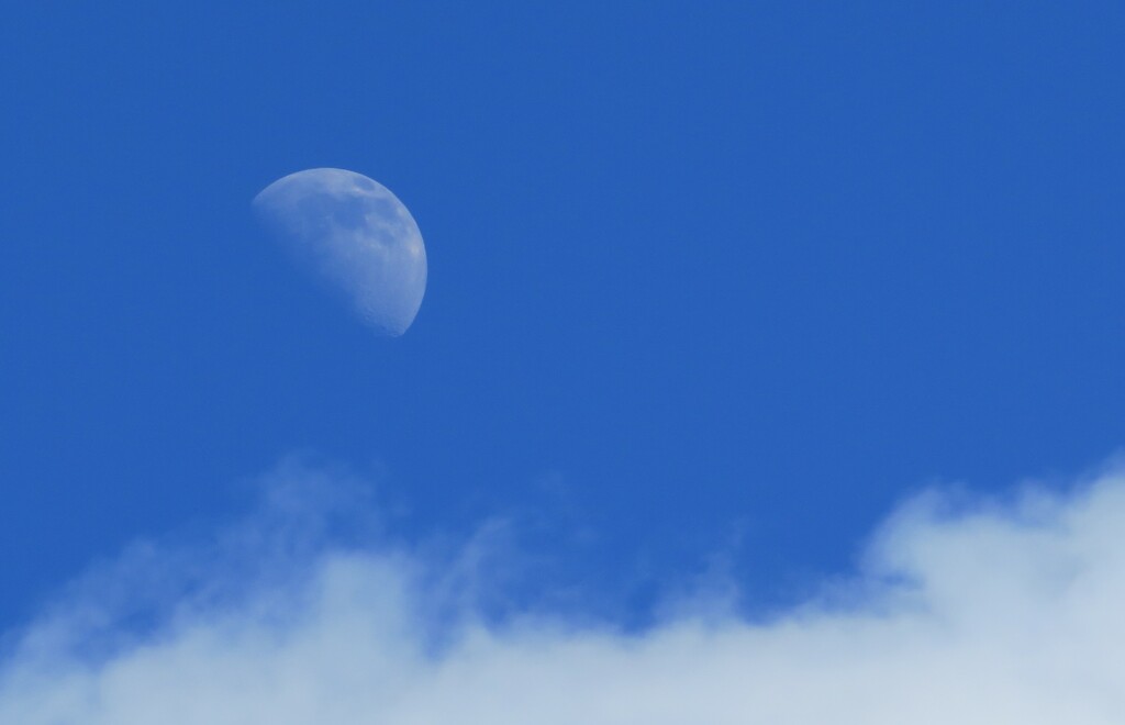 The daytime moon by anitaw