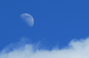 9th Jun 2022 - The daytime moon
