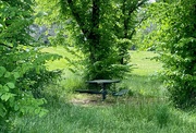 9th Jun 2022 - A Seat in the Shade