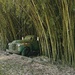 IMG_5626Old Truck out of Bamboo  by rontu