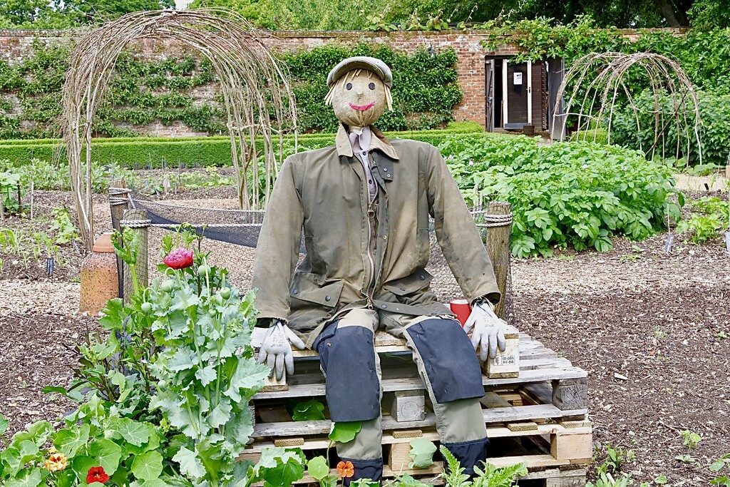 Scarecrow  by carole_sandford