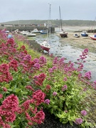 9th Jun 2022 - Cemaes Bay Harbour