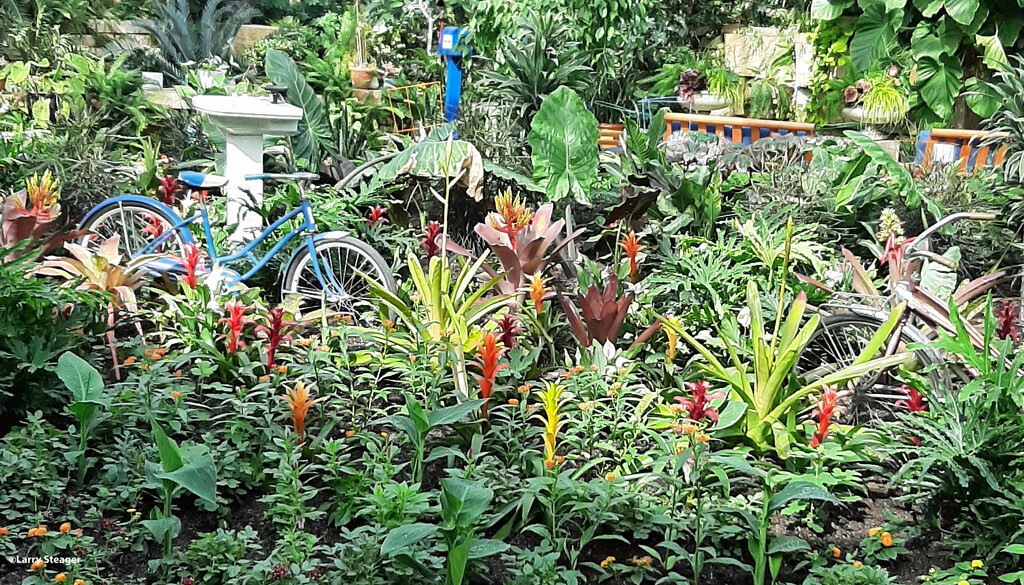Botanical garden Conservatory by larrysphotos