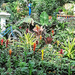 Botanical garden Conservatory by larrysphotos