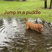 Jump in a puddle by sugarmuser