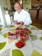 10th Jun 2022 - Strawberries
