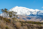 15th May 2022 - Mt Ruapehu on a nice day