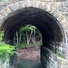 Tunnel by julie
