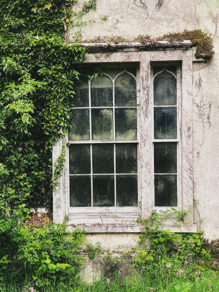 mullioned window by moonbi