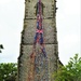 Flower Tower - St Thomas's Church Biggin by oldjosh