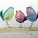 ‘Wild’ birds by jacqbb