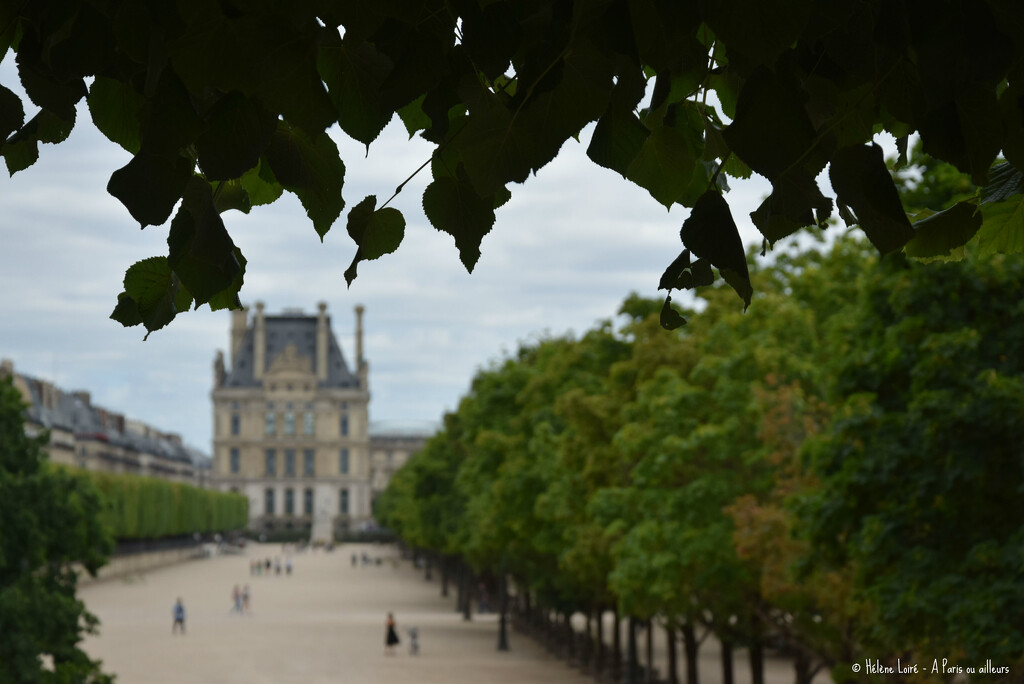 Tuileries garden and Louvre by parisouailleurs
