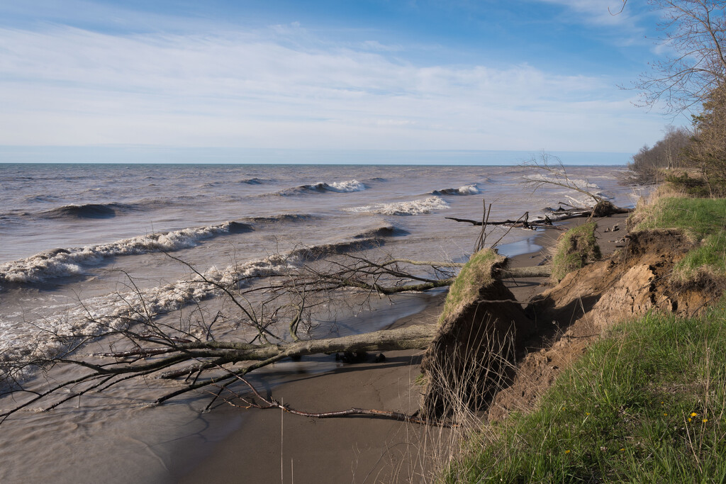 Erosion, Lake Erie by mgmurray