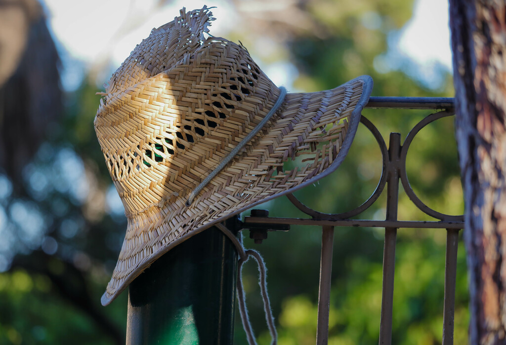 Cabbie's hat by elza