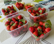 11th Jun 2022 - Strawberries