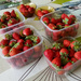 Strawberries by g3xbm