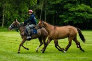 12th Jun 2022 - Exercising the horses