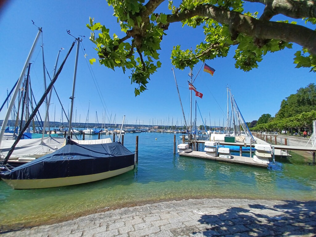 Bodensee harbour by busylady