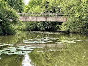 12th Jun 2022 - River Medway 