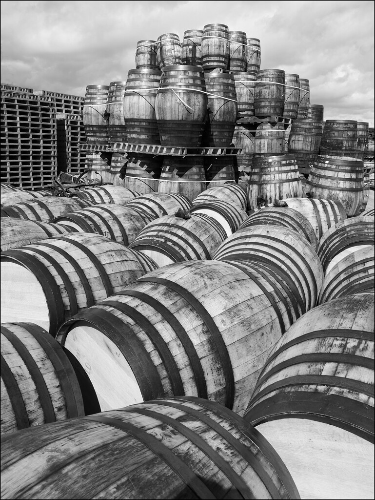 Barrels Galore by sanderling