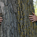 June Words - Hug a Tree by farmreporter