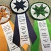 I won some ribbons! by margonaut