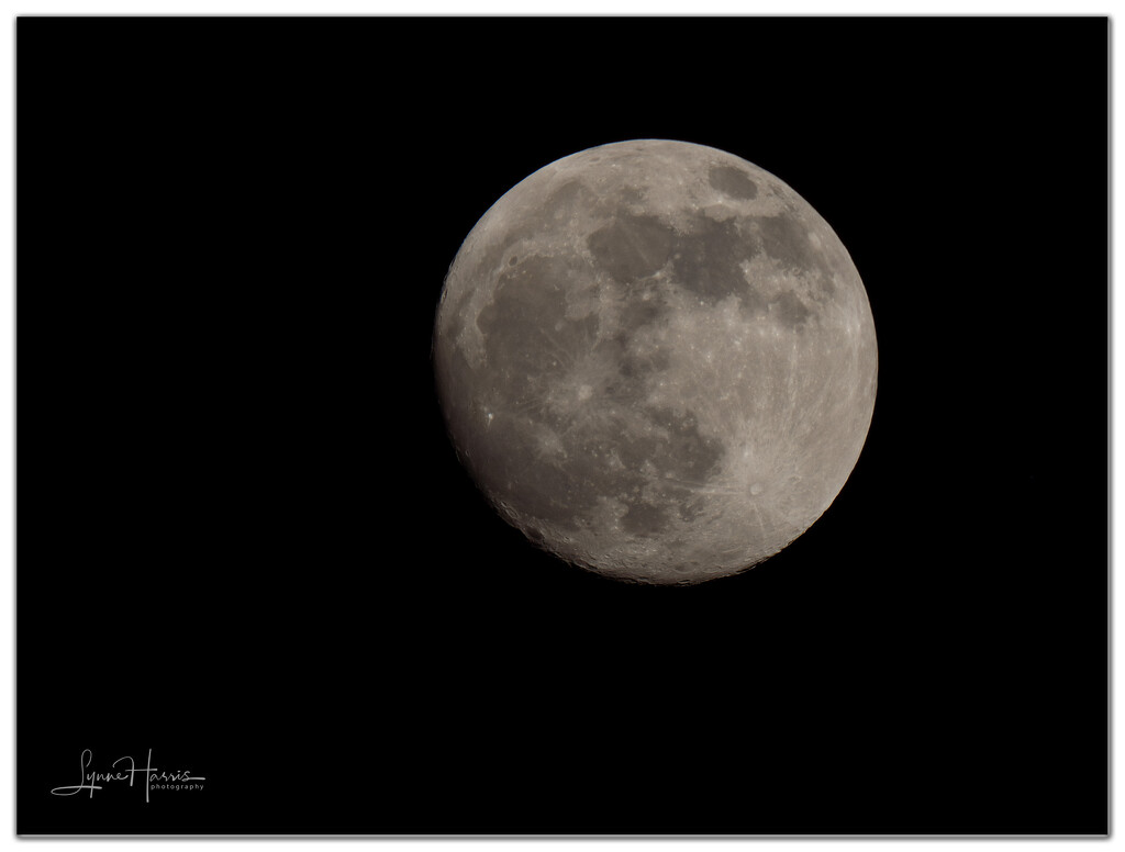 Moon shot by lynne5477