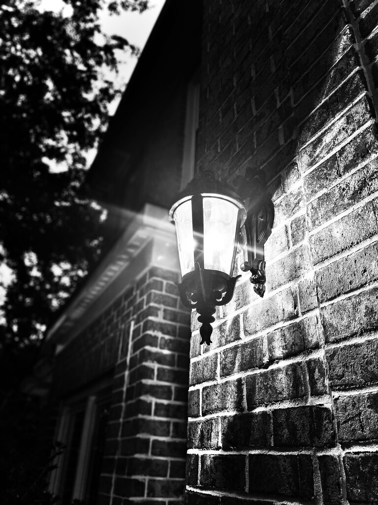 Front Lantern by 365canupp