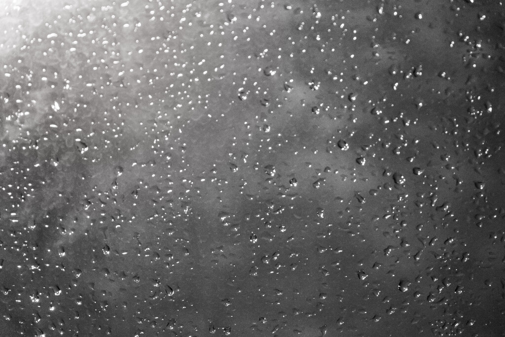 Water Droplets by tina_mac